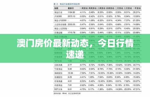 澳門房價(jià)最新動態(tài)，今日行情速遞