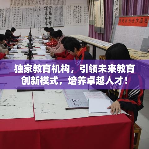 獨(dú)家教育機(jī)構(gòu)，引領(lǐng)未來(lái)教育創(chuàng)新模式，培養(yǎng)卓越人才！
