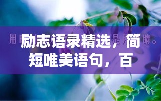 勵(lì)志語錄精選，簡(jiǎn)短唯美語句，百度收錄標(biāo)準(zhǔn)標(biāo)題