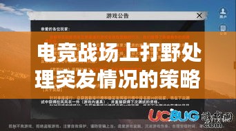 電競戰(zhàn)場上打野處理突發(fā)情況的策略，關(guān)鍵角色與應(yīng)對策略揭秘