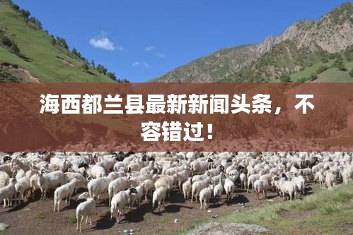 海西都蘭縣最新新聞頭條，不容錯(cuò)過！