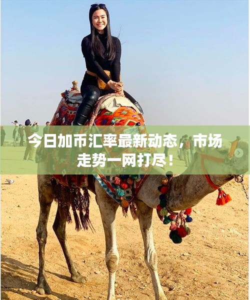 今日加幣匯率最新動(dòng)態(tài)，市場(chǎng)走勢(shì)一網(wǎng)打盡！