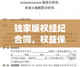 獨家版權經(jīng)紀合同，權益保障與責任明確全攻略
