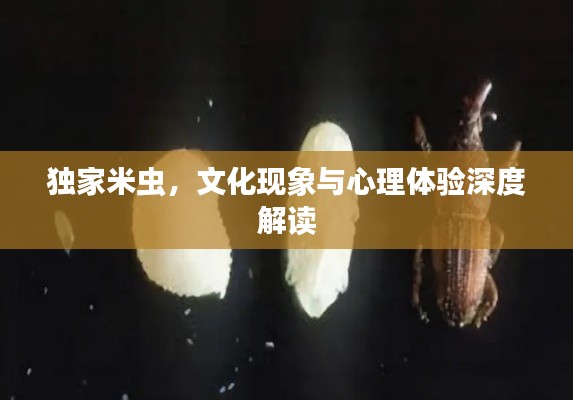 獨(dú)家米蟲(chóng)，文化現(xiàn)象與心理體驗(yàn)深度解讀