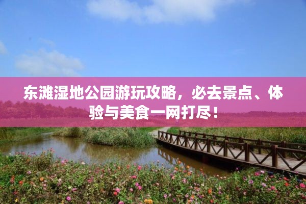 東灘濕地公園游玩攻略，必去景點、體驗與美食一網(wǎng)打盡！