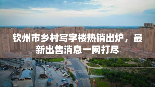 欽州市鄉(xiāng)村寫字樓熱銷出爐，最新出售消息一網(wǎng)打盡