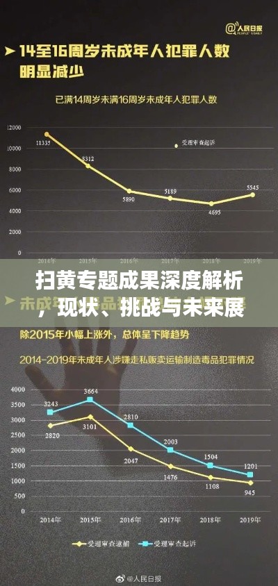 掃黃專題成果深度解析，現(xiàn)狀、挑戰(zhàn)與未來展望
