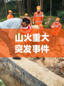 山火重大突發(fā)事件應(yīng)對與反思，如何守護(hù)綠水青山？