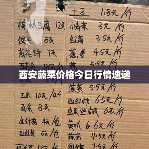 西安蔬菜價(jià)格今日行情速遞