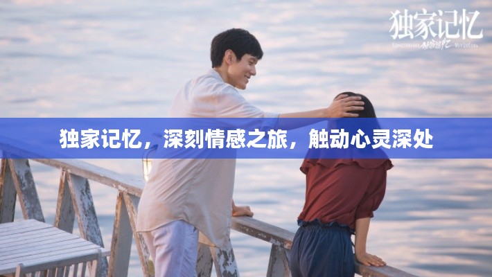 獨家記憶，深刻情感之旅，觸動心靈深處