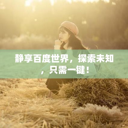 靜享百度世界，探索未知，只需一鍵！