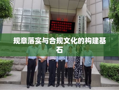 規(guī)章落實與合規(guī)文化的構建基石