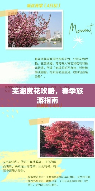 蕪湖賞花攻略，春季旅游指南