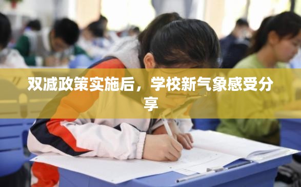 雙減政策實施后，學(xué)校新氣象感受分享
