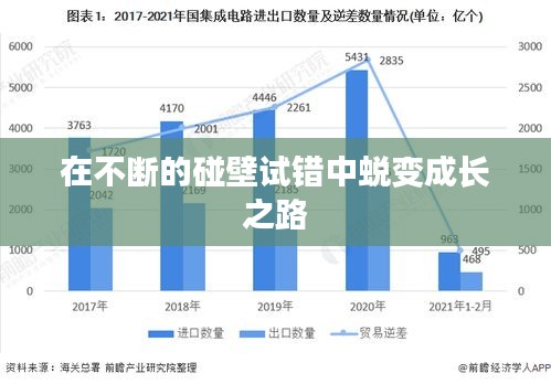 在不斷的碰壁試錯(cuò)中蛻變成長之路