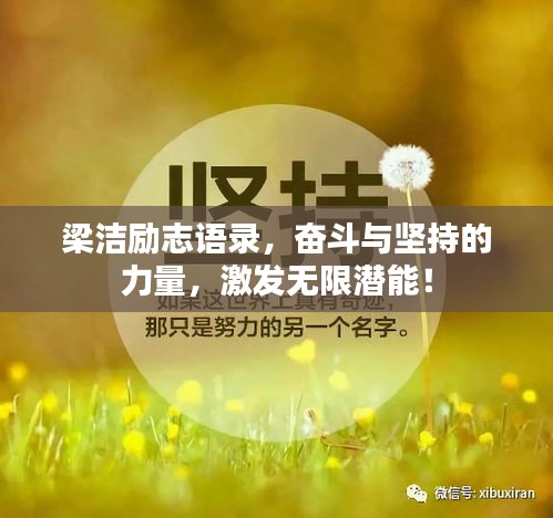 梁潔勵志語錄，奮斗與堅持的力量，激發(fā)無限潛能！