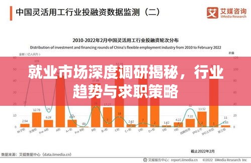就業(yè)市場(chǎng)深度調(diào)研揭秘，行業(yè)趨勢(shì)與求職策略