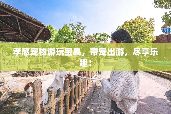 孝感寵物游玩寶典，帶寵出游，盡享樂趣！