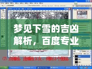 夢見下雪的吉兇解析，百度專業(yè)解讀您的夢境之謎