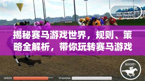 揭秘賽馬游戲世界，規(guī)則、策略全解析，帶你玩轉(zhuǎn)賽馬游戲！——百度收錄標(biāo)題