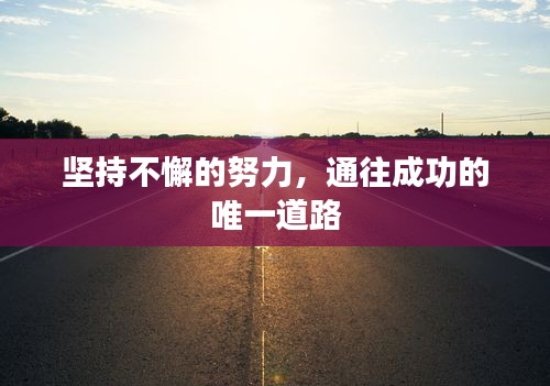 堅持不懈的努力，通往成功的唯一道路