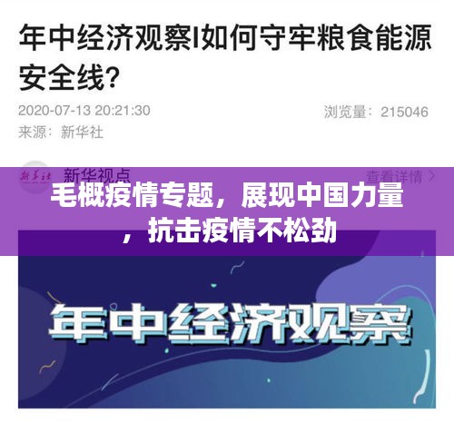 毛概疫情專題，展現(xiàn)中國(guó)力量，抗擊疫情不松勁