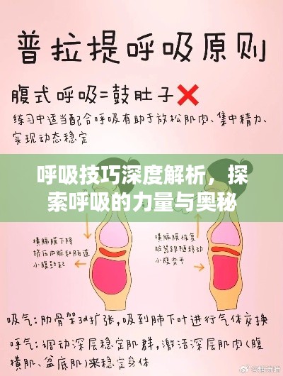 呼吸技巧深度解析，探索呼吸的力量與奧秘