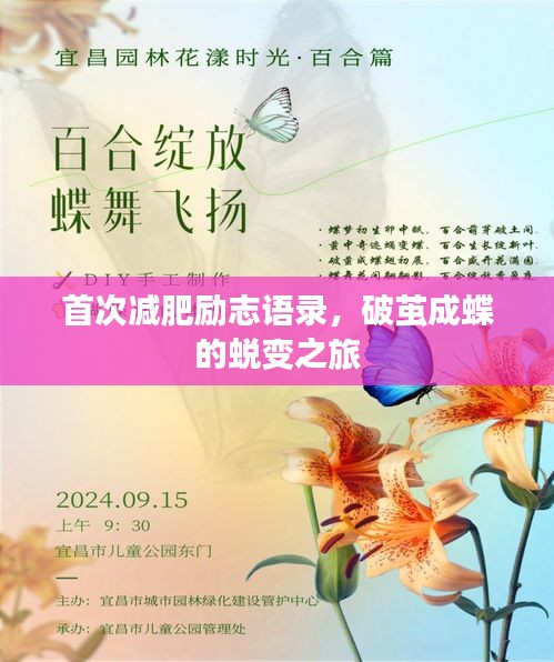 首次減肥勵(lì)志語錄，破繭成蝶的蛻變之旅