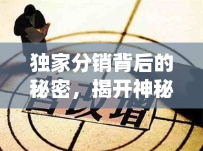 獨(dú)家分銷背后的秘密，揭開神秘面紗下的真相與定位探索