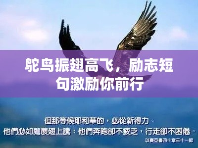 鴕鳥振翅高飛，勵志短句激勵你前行
