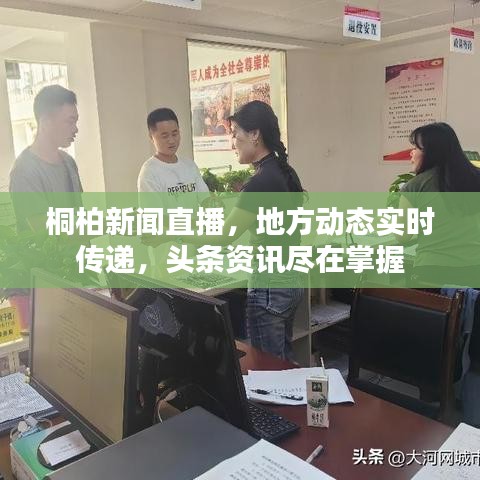 桐柏新聞直播，地方動態(tài)實時傳遞，頭條資訊盡在掌握
