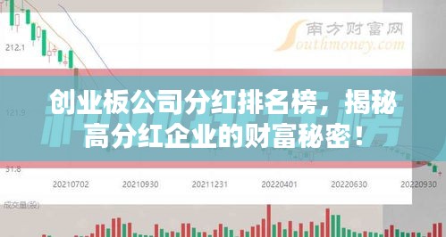 創(chuàng)業(yè)板公司分紅排名榜，揭秘高分紅企業(yè)的財(cái)富秘密！