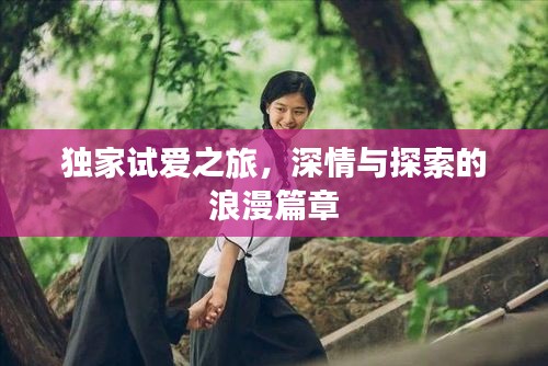雅量高致