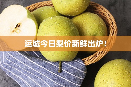 運(yùn)城今日梨價新鮮出爐！
