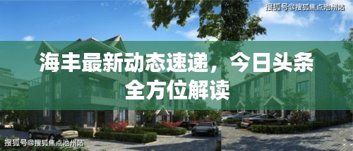 海豐最新動態(tài)速遞，今日頭條全方位解讀