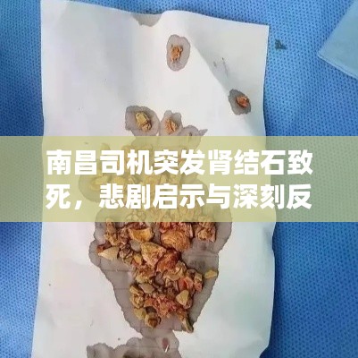 南昌司機突發(fā)腎結石致死，悲劇啟示與深刻反思