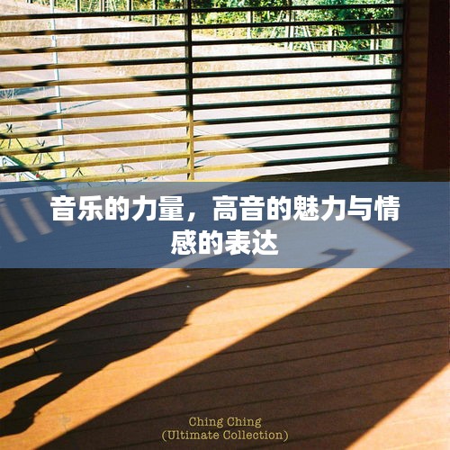 音樂(lè)的力量，高音的魅力與情感的表達(dá)