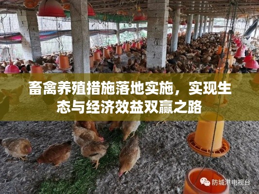 畜禽養(yǎng)殖措施落地實施，實現(xiàn)生態(tài)與經(jīng)濟效益雙贏之路