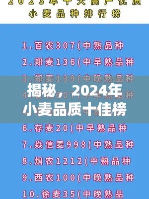 揭秘，2024年小麥品質(zhì)十佳榜單解析