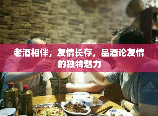 老酒相伴，友情長存，品酒論友情的獨(dú)特魅力