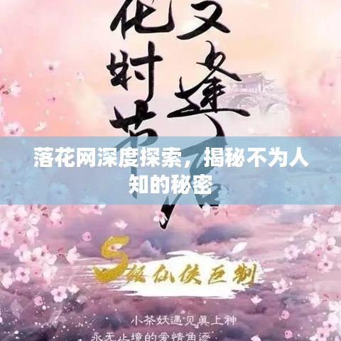 落花網(wǎng)深度探索，揭秘不為人知的秘密