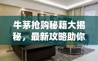牛茅搶購秘籍大揭秘，最新攻略助你輕松掌握搶購訣竅！