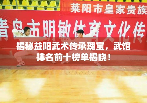 揭秘益陽武術(shù)傳承瑰寶，武館排名前十榜單揭曉！