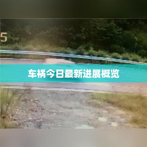 車禍今日最新進展概覽