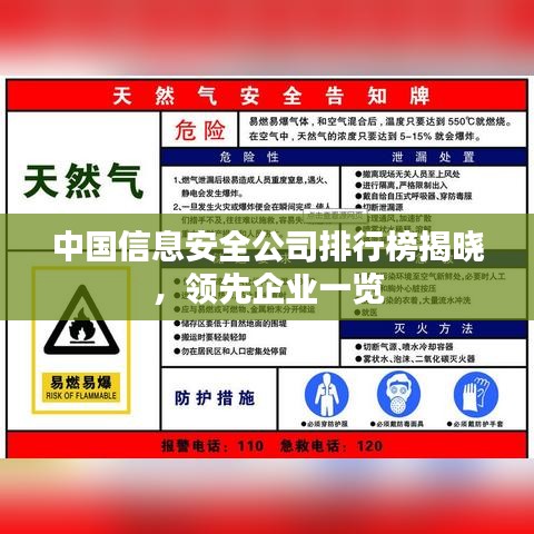 中國(guó)信息安全公司排行榜揭曉，領(lǐng)先企業(yè)一覽