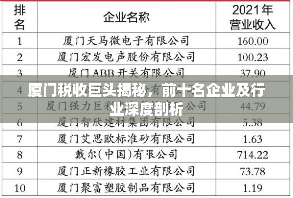 廈門稅收巨頭揭秘，前十名企業(yè)及行業(yè)深度剖析