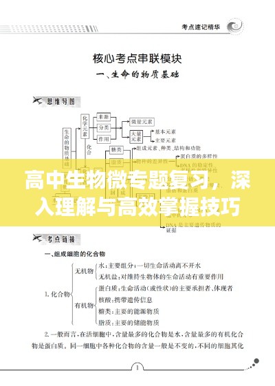 高中生物微專題復(fù)習(xí)，深入理解與高效掌握技巧