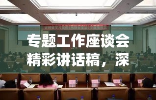 專題工作座談會精彩講話稿，深入探討與前瞻展望