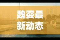 2025年5月 第13頁