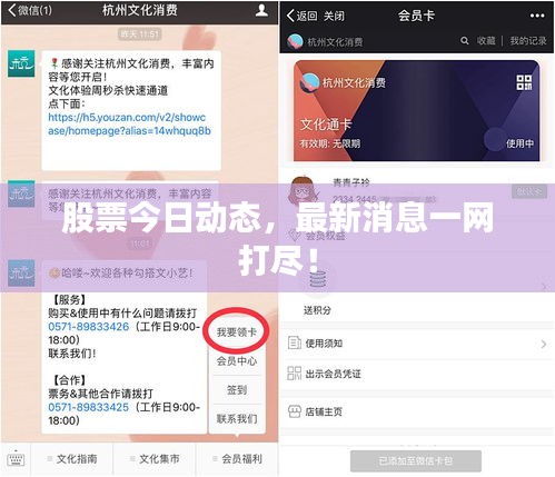 股票今日動態(tài)，最新消息一網(wǎng)打盡！